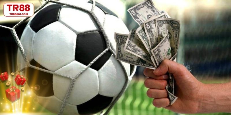 Tầm nhìn TR88 định hình tương lai bằng công nghệ